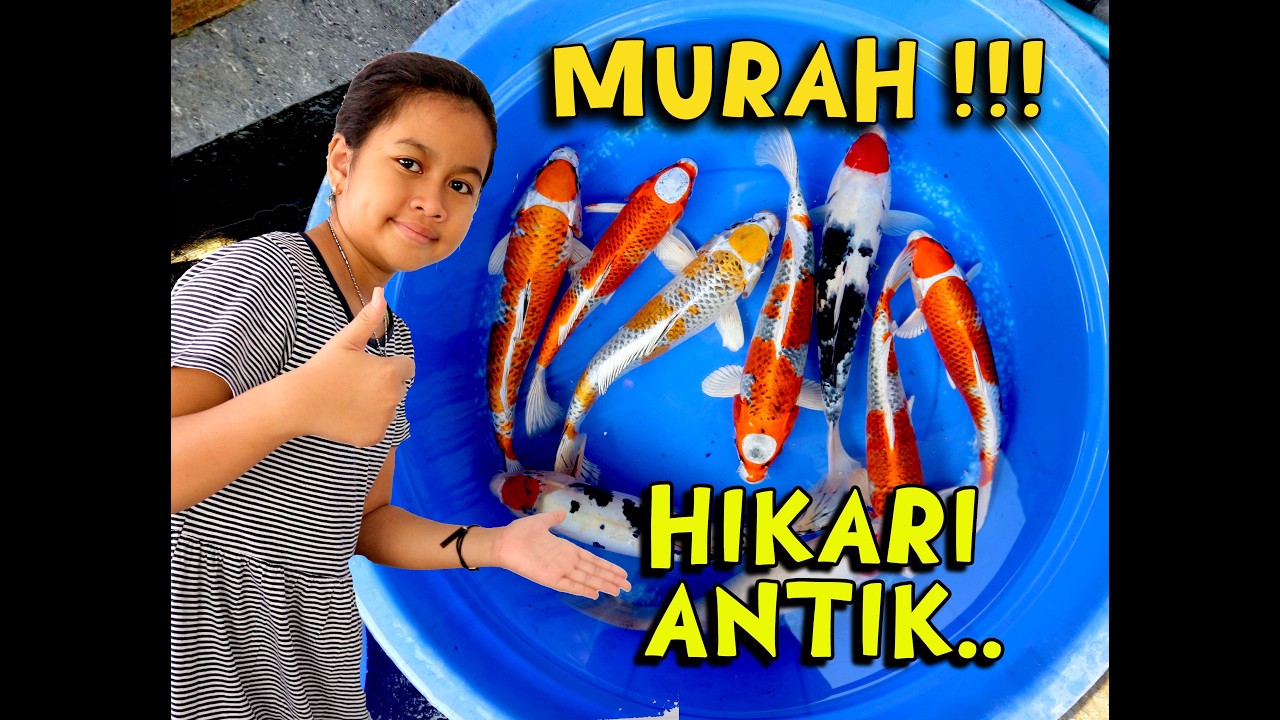 TANCO WARNA PUTIH !!! | 07-03-2026