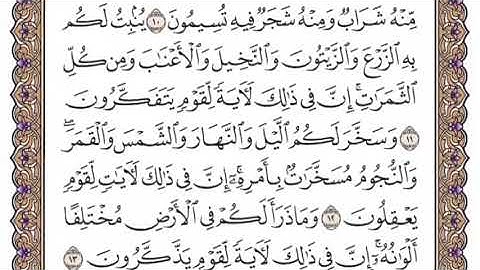 سورة النحل الشيخ ياسر الدوسري صفحة ٢٦٨