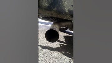 2011 LML with 4 inch Flo Pro with muffler