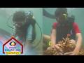 PBB Balikbahay: Clare at Mikee, nag-scuba diving!