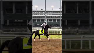 Kentucky Derby is here.. letβs go Silent Tactic ππ¨