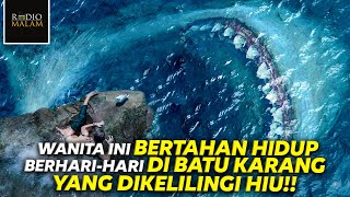 TERJEBAK DI LAUT YANG DIKELILINGI HIU - Alur Film The Shallows (2016)