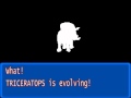 Triceratops evolution
