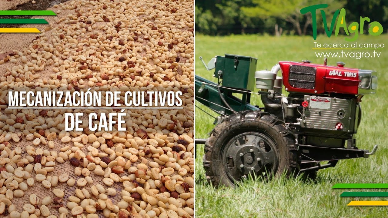Mecanización de Cultivos de Café - TvAgro por Juan Gonzalo Angel - YouTube