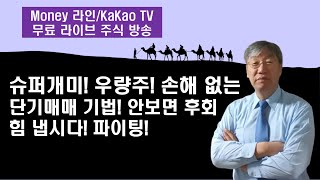 슈퍼개미! 우량주 손해 없는 단기매매 기법[Money 라인]