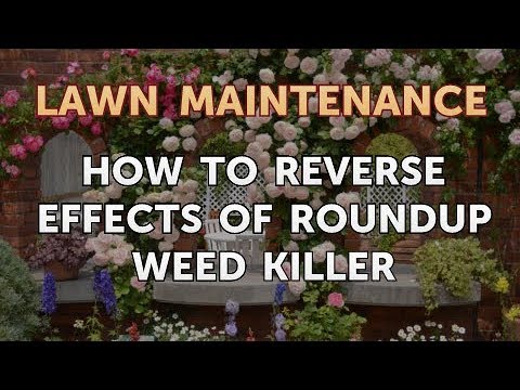 How To Reverse Effects Of Roundup Weed You Reverse Effects Of Roundup Weed