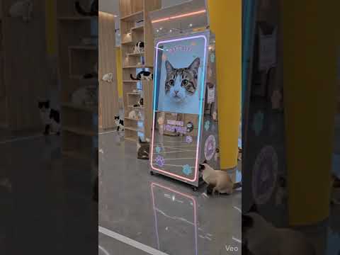 미러포토부스 촬영 영상