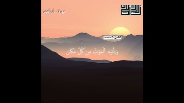 تلاوه خاشعه للقارئ زياد أصلان || من سورة إبراهيم || #زياد_أصلان