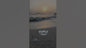 عامر السعيدي قران كريم#اكسبلور