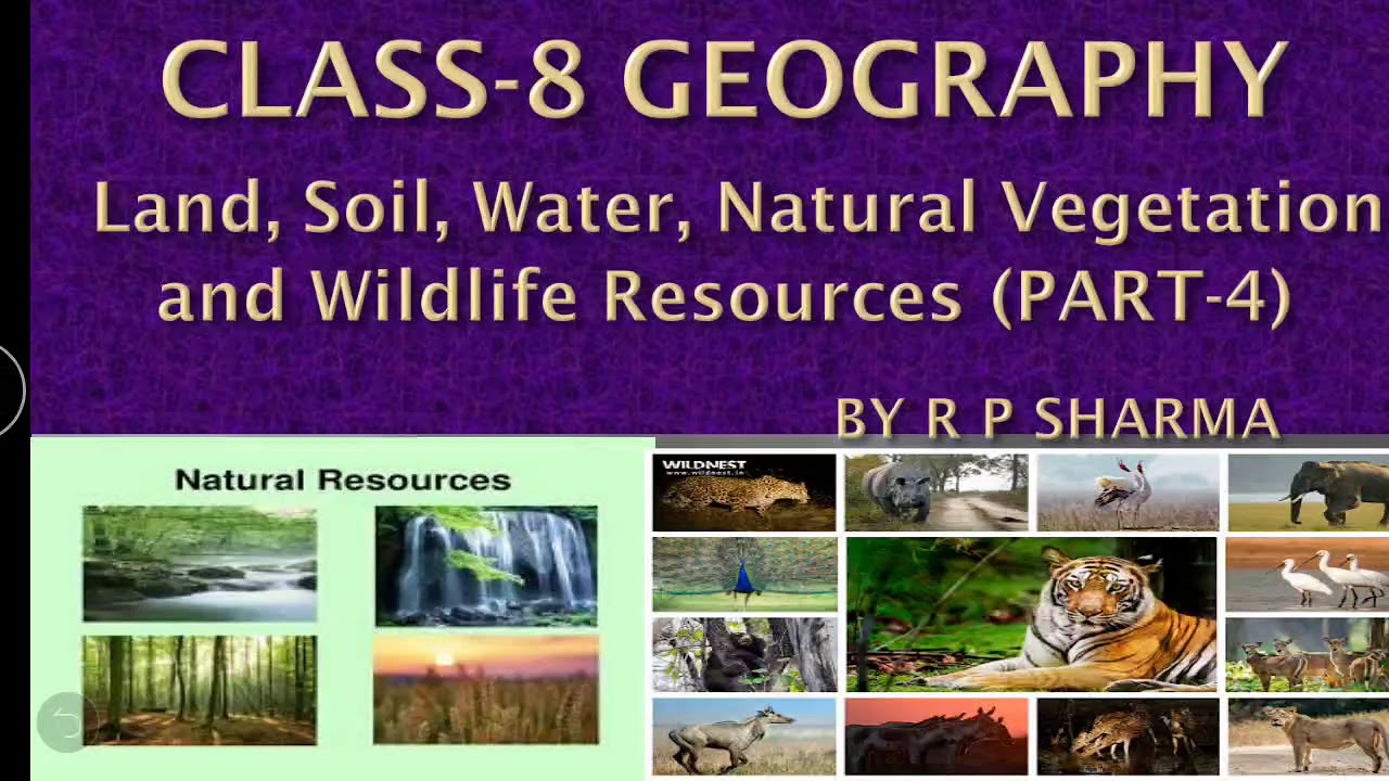 case study questions class 8 geography chapter 4