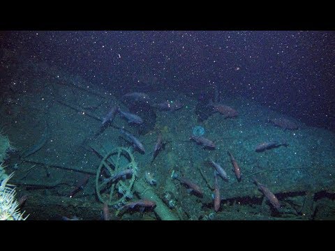 Australian navy world war one AE1 submarine found 103 years after it vanished