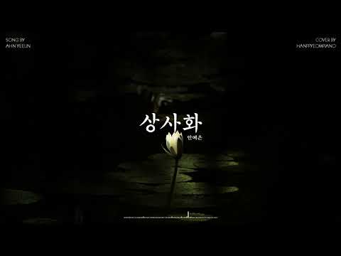 Magic Lily (PIANO COVER) - Ahn Yeeun