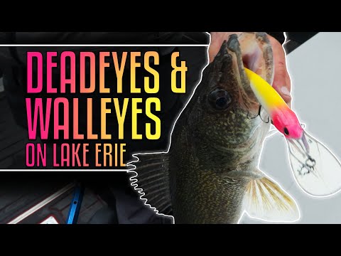 abu garcia never give up fishing pole Ike Dude 6ft Spinning Combo eco-friendly hooks they offer a secure Lure Enhancer | Shop Size:Whale Rubber Net