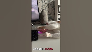 My cat open cases # #cs2 #cs2stream #gaming #cs2clips #cat #cs2live #gamer #opencase #csgo