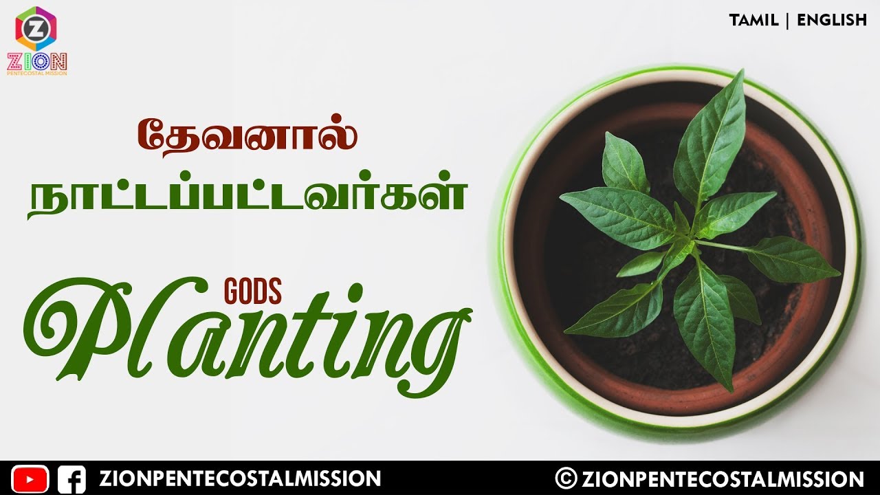 TPM MESSAGES | Gods Planting | Pas.Durai | Bible Sermons | Christian Messages | T | E