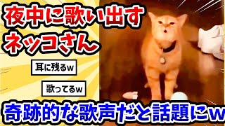 【2ch動物スレ】夜中に歌い出す猫さん → 奇跡的な歌声だと話題にwww