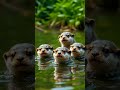 The Resilient Journeys of Young Wildlife