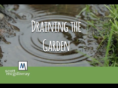 Video: Tuinvloede - Hoe om plante van vloedskade te red