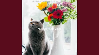 Understated Calming Your Cat