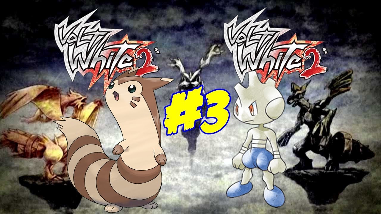 Pokemon Volt White 2 Tyrogue Shine e Xerenas Evolution YouTube