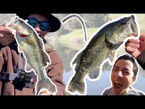 How To Catch Bass With a Roboworm! (Prespawn Bass Fishing) 
