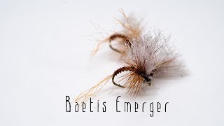 Baetis Emerger (variant)