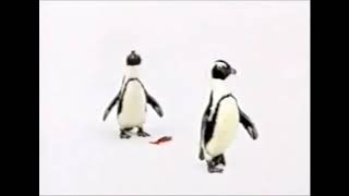 Telus Ad 2001