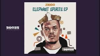 ZIDDO - Tumaini (Original Mix)
