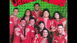 Video thumbnail of "tambo tambo-por eso y por muchas cosas"