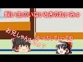 『ゆっくり茶番』飼い主(主)がいないときのれいみゅ！レイみゅはなにをしているのか、、、