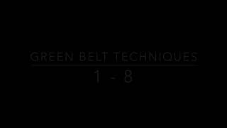 Techniques 1-8 (Green Belt)