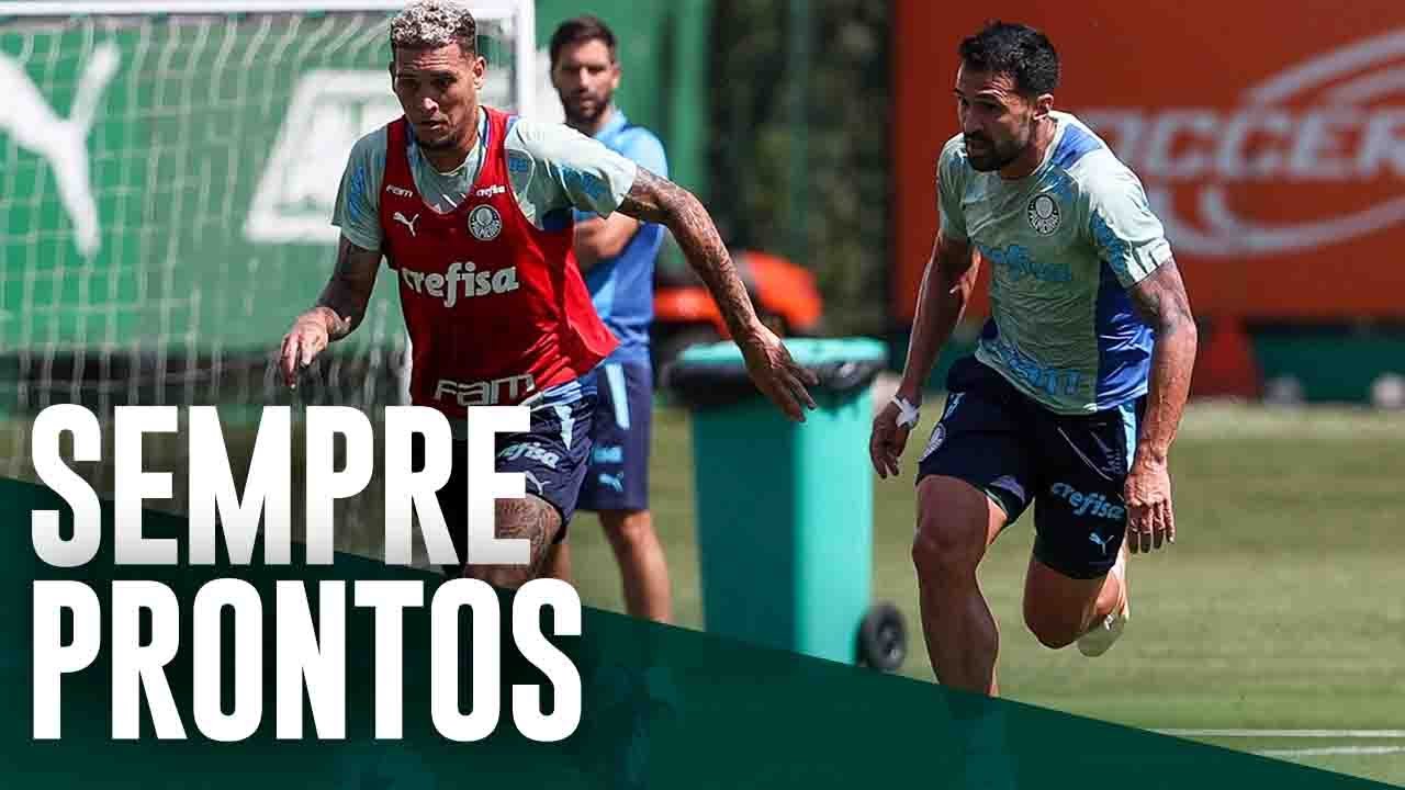 SE Palmeiras - Que venham os desafios de abril! 👊🐷 Com início de  Brasileirão, Copa do Brasil e CONMEBOL Libertadores, confira os nossos jogos  neste mês 👇 #AvantiPalestra