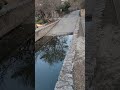 Video 249 Boat Ramp Riverwalk San Antonio TX Jan 2023 Video 249 Boat Ramp Riverwalk San Antonio TX Jan 2023