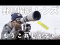 ソニーから野鳥撮影に特化しすぎたレンズ出た…【FE 400-800mm F6.3-8 G OSS】