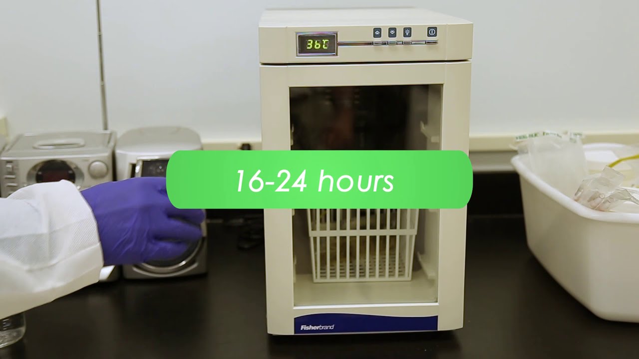 dairy cow How to run ANSR® for Listeria Spp procedure