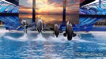 I got you orca MEP Part