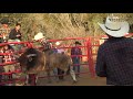 QUE JALON DEL MILENIO A MOROCO DE PATZCUARO