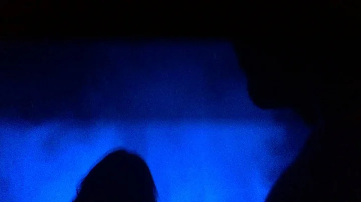 Evian Christ - ? (Live @ The Roundhouse, London)