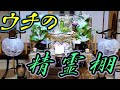 【田舎の歳時記】お盆に向けての準備をしましたよ。