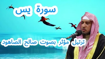 سورة يس بصوت صالح الصاهود – لراحة القلب والروح