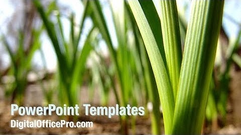 Garlic Planting PowerPoint Template Backgrounds - DigitalOfficePro #00138W