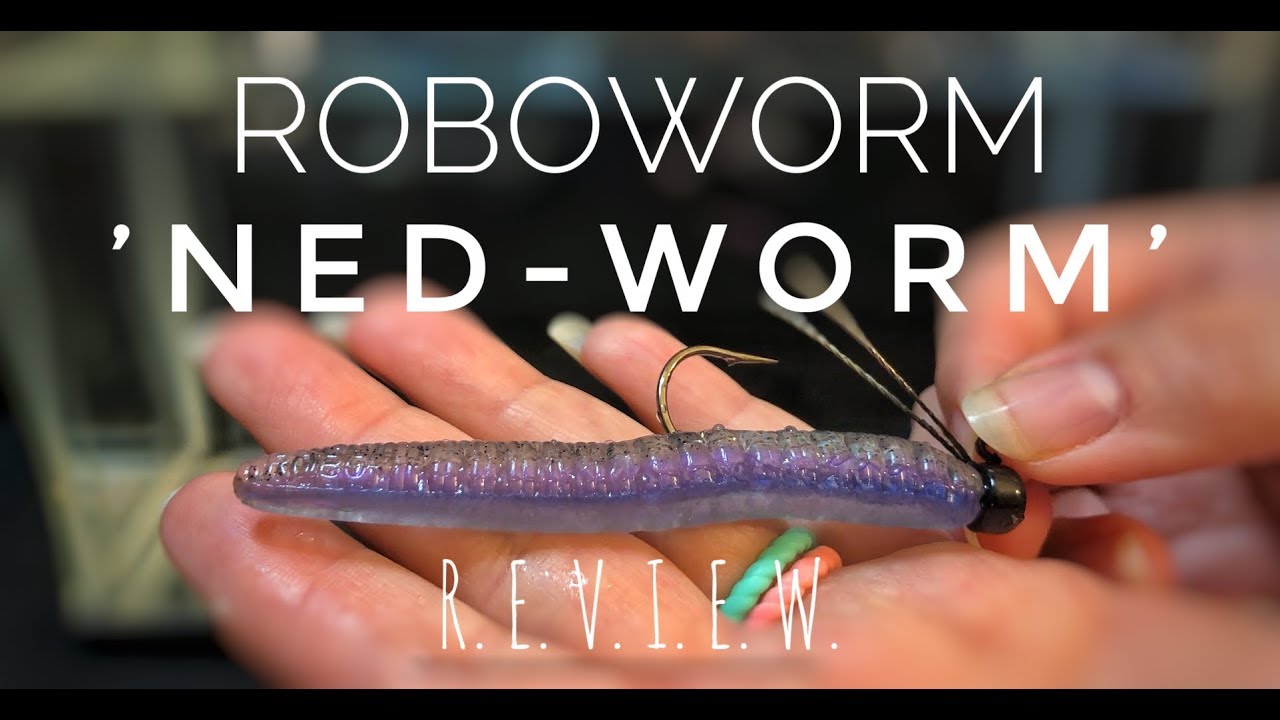 Roboworm 'Ned-Worm' REVIEW!! (Better than the Z-Man??) + Underwater Tank  Test 