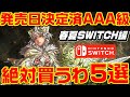 2020年 春夏 発売日決定済 AAA級 絶対買うわ スイッチ ゲーム 5選【SWITCH編】