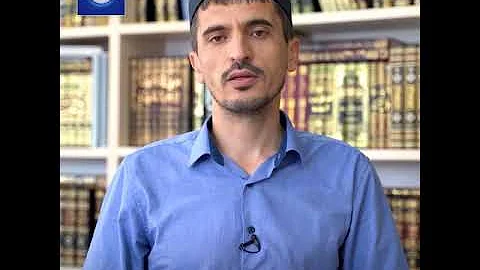 Можно ли употреблять в пищу мясо осьминога, кальмара и мидии?