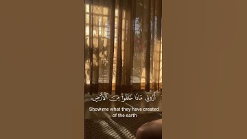 سورة الأحقاف آيه { ٤ } #المصحف #quran #اكسبلور #duet #islamicfestival #دويتو #الرحمن #islamicholiday
