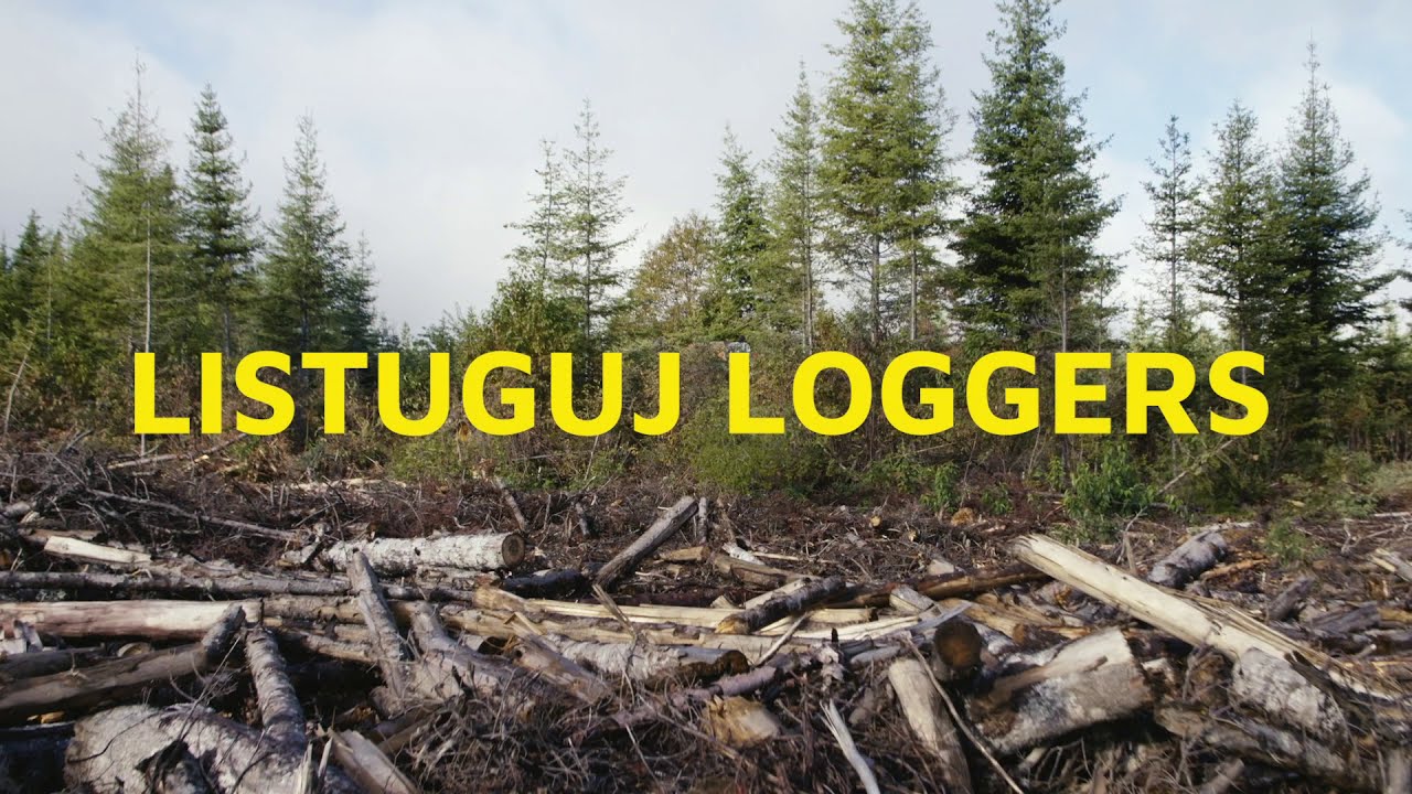 Gespe'gewa'gi: The Last Land: Listuguj Loggers