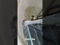 Voltas Inverter AC Gas charging #chahar_ac_repair#service