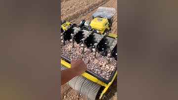 Efficient Garlic Planter for Modern Farming #farmingmachines @RomFarm