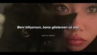 beabadoobee - 'the perfect pair' (Türkçe Çeviri)