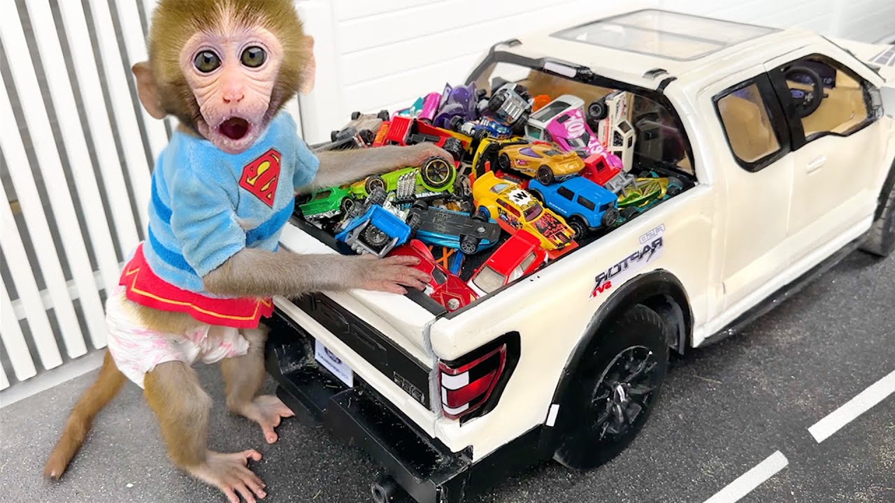 Monkey Baby Bon Bon drives a car and plays with puppy and duckling by the track